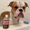 Natural Dog Company Unscented Itchy Skin Hypoallergenic Dog Shampoo 12oz