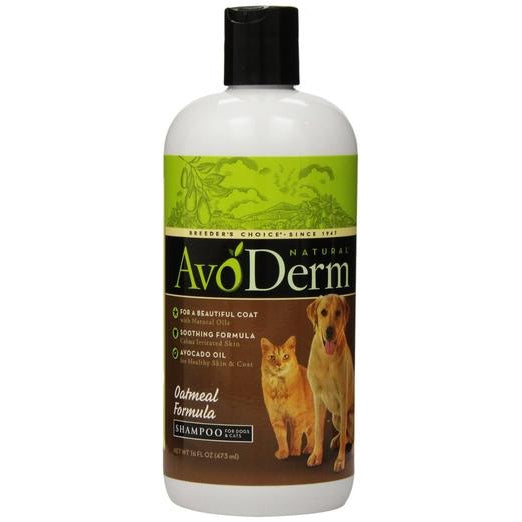 AvoDerm Natural Oatmeal Shampoo for Dogs & Cats 16oz - Kohepets