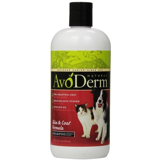 AvoDerm Natural Skin and Coat Shampoo for Dogs & Cats 16oz - Kohepets
