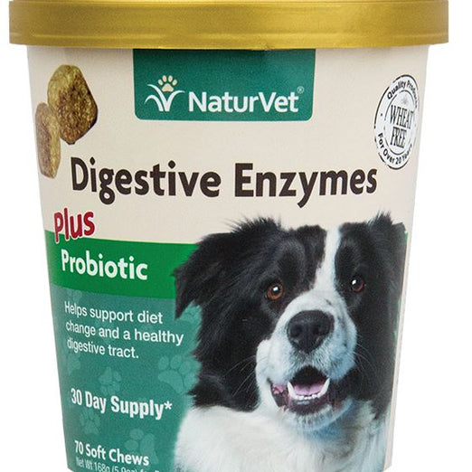 15% OFF: NaturVet Digestive Enzymes Plus Pre & Probiotics Soft Chew Cup 70 count - Kohepets