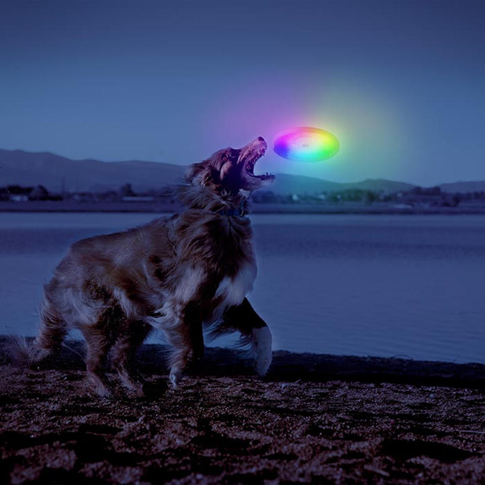 Nite Ize FlashFlight Dog Discuit LED Frisbee Dog Toy - Kohepets