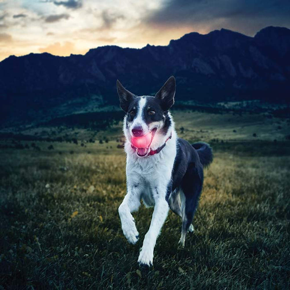 Nite Ize GlowStreak Waterproof Motion-Activated LED Rubber Ball Dog Toy - Kohepets