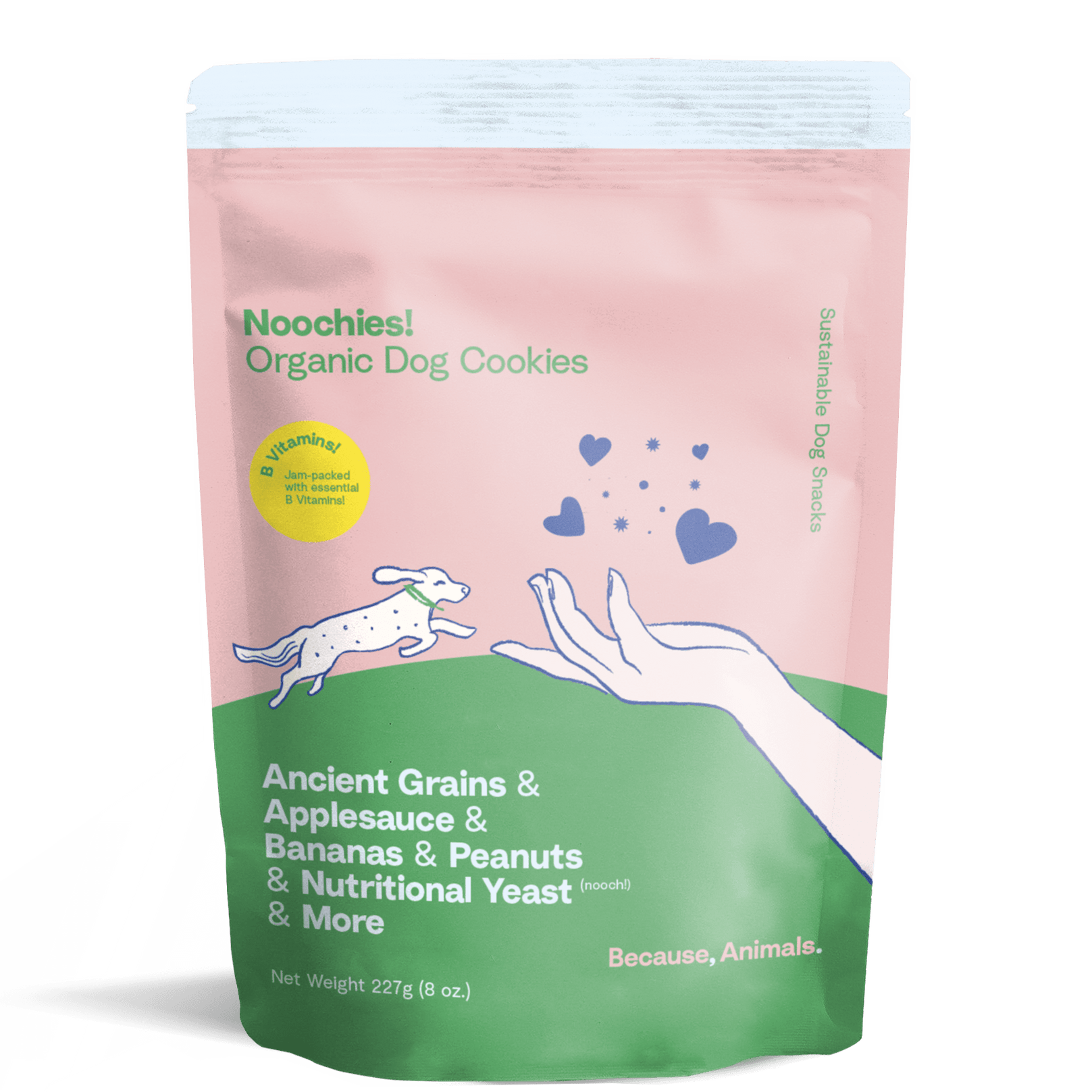 Because Animal Noochies Peanut Butter Organic Dog Cookie Treats 8oz - Kohepets