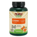 NOW Pets L-Lysine Pure Powder Cat Supplements 8oz - Kohepets