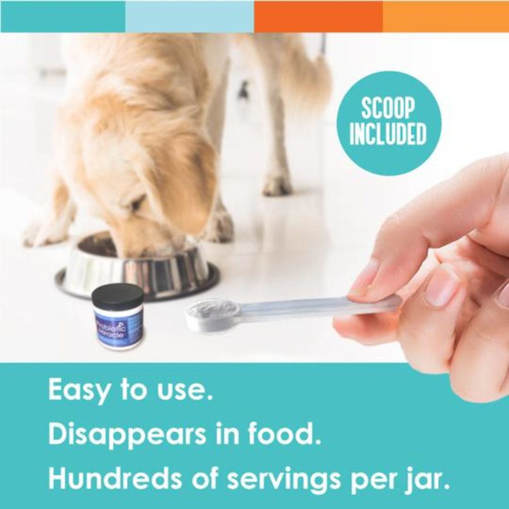 Nusentia Probiotic Miracle Supplement for Dogs and Cats - Kohepets