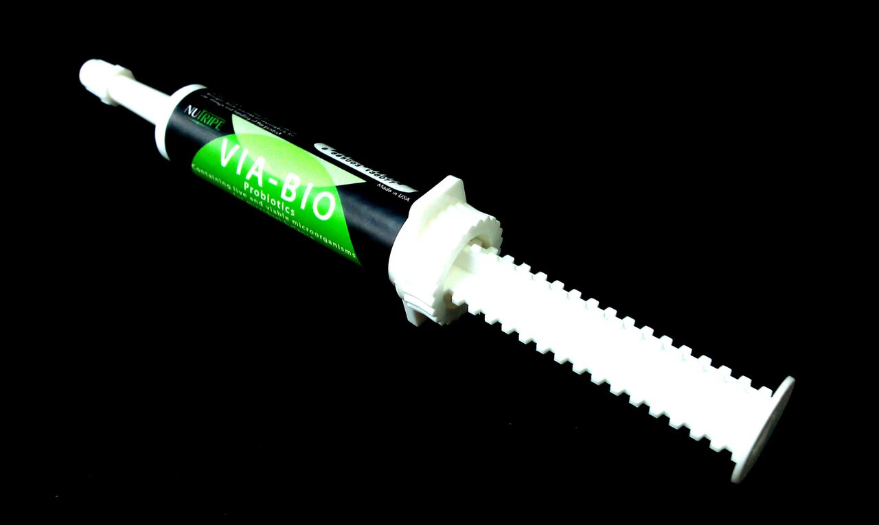 Nutripe Via-Bio Probiotics for Dogs 15g - Kohepets