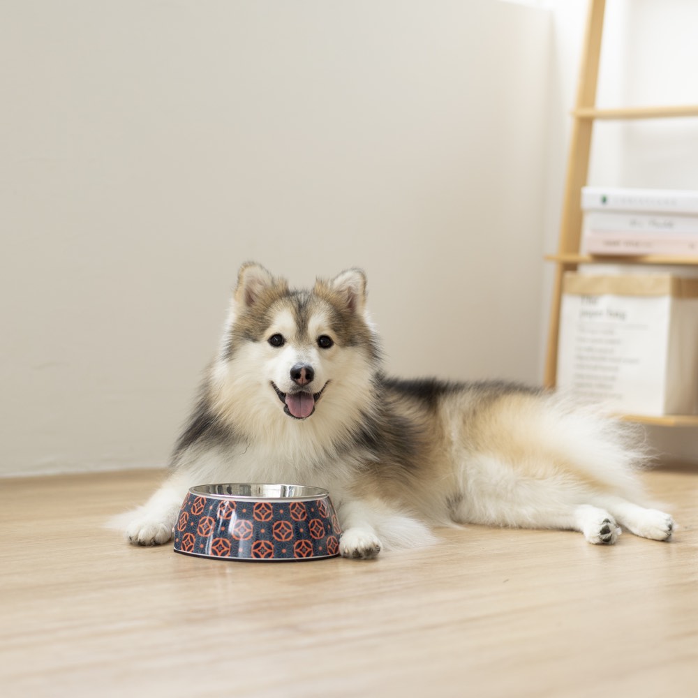 Ohpopdog Heritage Non-Slip Dog Bowl (Baba Navy 150) - Kohepets