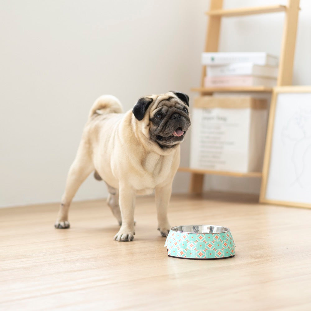 Ohpopdog Heritage Non-Slip Dog Bowl (Straits Mint 17) - Kohepets