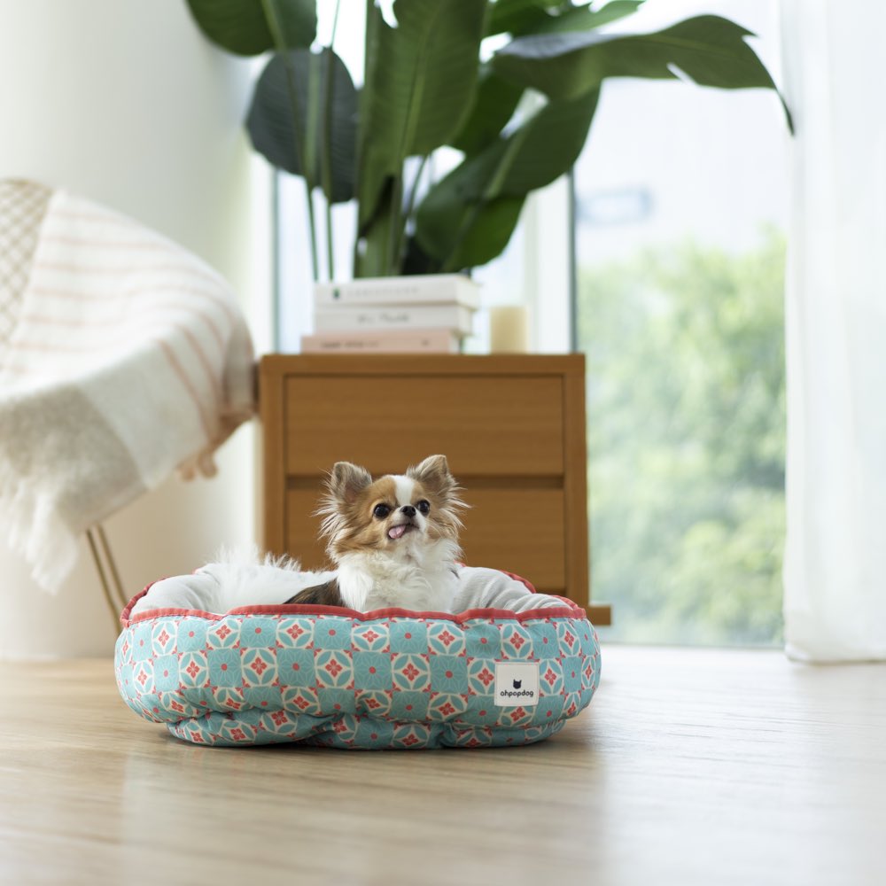 Ohpopdog Heritage Reversible Dog Bed (Straits Mint 17) - Kohepets