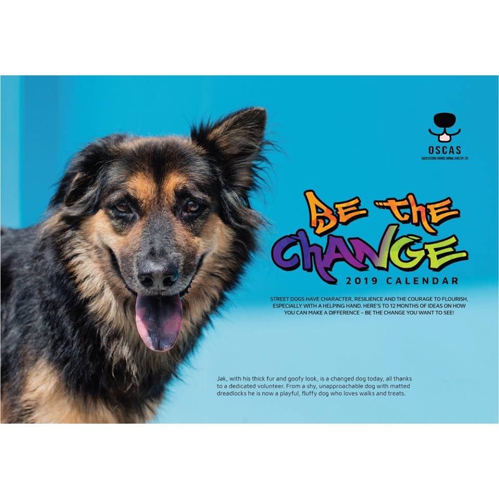 OSCAS (Oasis Second Chance Animal Shelter) 2019 Calendar - Kohepets