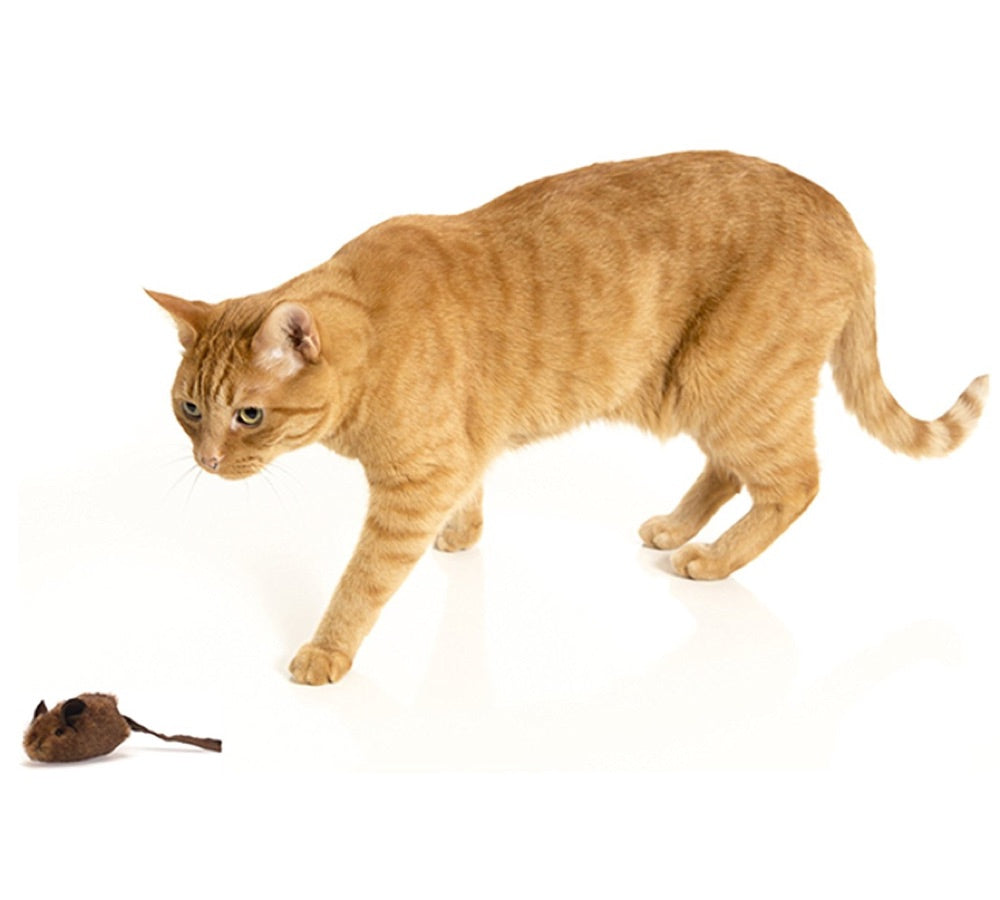 10% OFF: OurPet's Play-N-Squeak MouseHunter Interactive Cat Toy - Kohepets