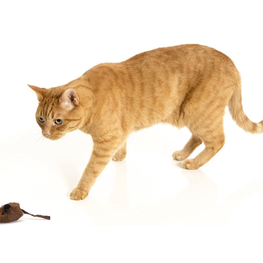 10% OFF: OurPet's Play-N-Squeak MouseHunter Interactive Cat Toy - Kohepets