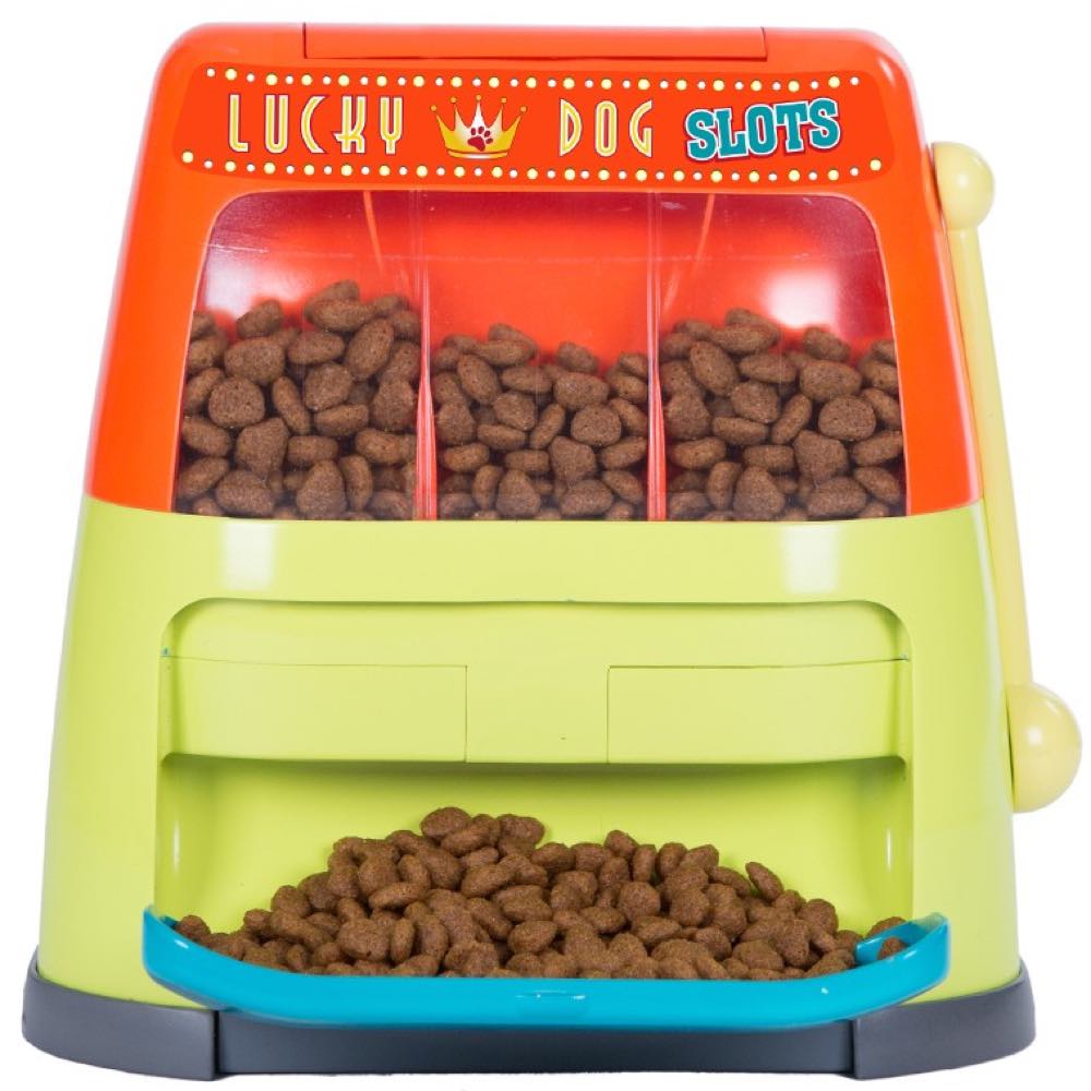 Outward Hound Lucky Dog Slots Puzzle Dog Toy - Kohepets