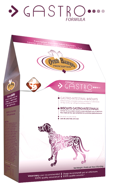 Oven-Baked Tradition Gastrointestinal Dog Biscuits - Kohepets