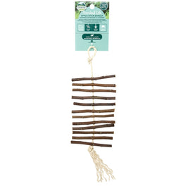 Oxbow Enriched Life Apple Stick Dangly For Small Animals - Kohepets