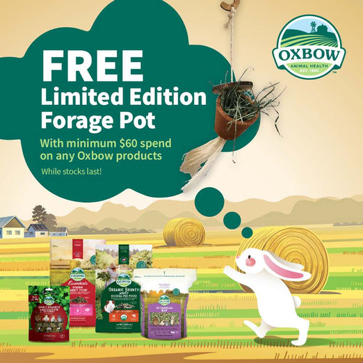 'FREE W/ MIN. 60 OF OXBOW' Oxbow Enriched Life Forage Pot For Small