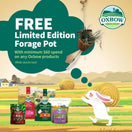 'FREE W/ MIN. $60 OF OXBOW': Oxbow Enriched Life Forage Pot For Small Animals