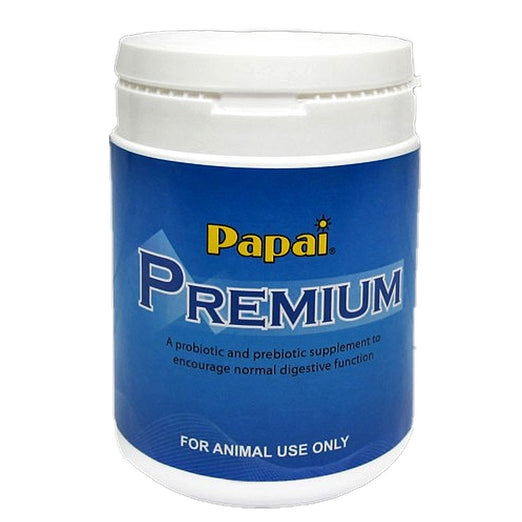 Papai Premium Probiotic & Prebiotic Plus Yeast Pet Digestive Supplement - Kohepets