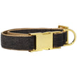 Pattefrenz Brownie Gold Collar & Leash Set (Medium) - Kohepets