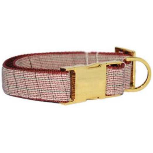 Pattefrenz Pitaya Gold Collar & Leash Set (Medium) - Kohepets