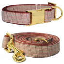 Pattefrenz Pitaya Gold Collar & Leash Set (Medium)