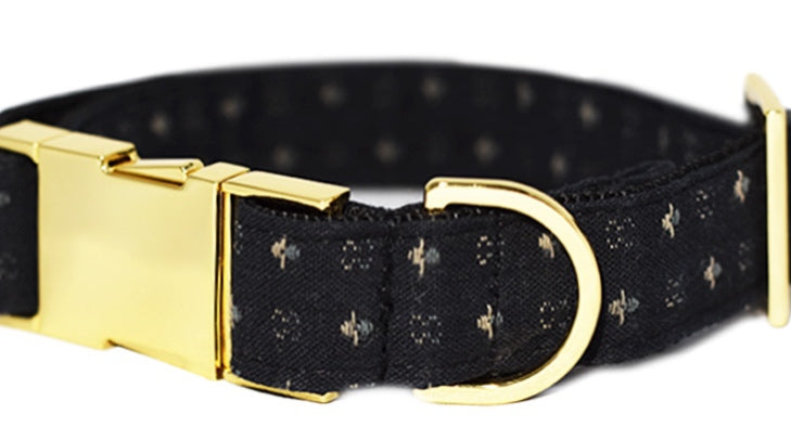 Pattefrenz Sprinkles Gold Collar & Leash Set (Medium) - Kohepets