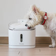 20% OFF: Pawbo Spring Smart Pet Fountain - Kohepets