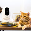 20% OFF: Pawbo+ Wireless Interactive Pet Camera - Kohepets