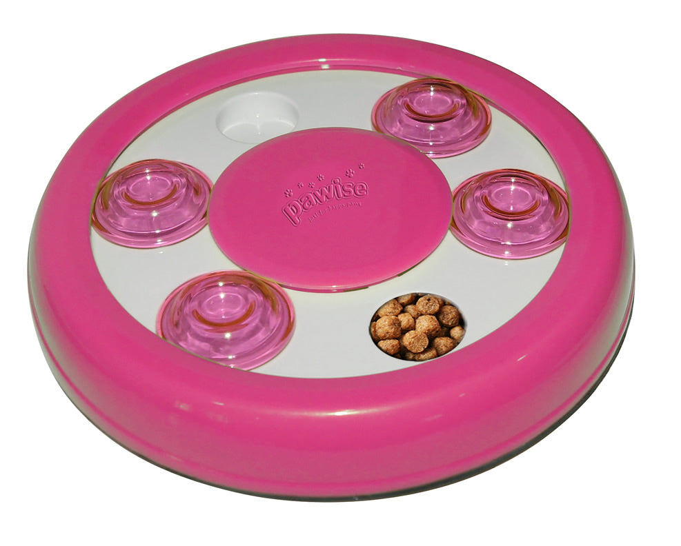 Pawise Cat Puzzle Toy - Kohepets