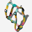 Zee Dog Salina H-Harness - Kohepets