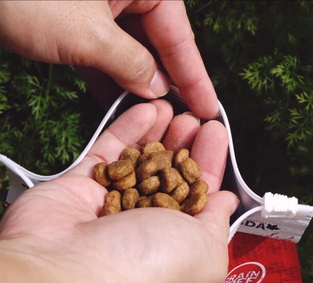 PetKind Green Tripe & Wild Salmon Grain-Free Dry Dog Food - Kohepets