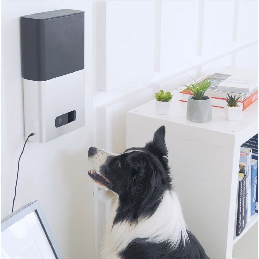Petcube Bites Interactive Pet Camera & Treat Dispenser - Kohepets
