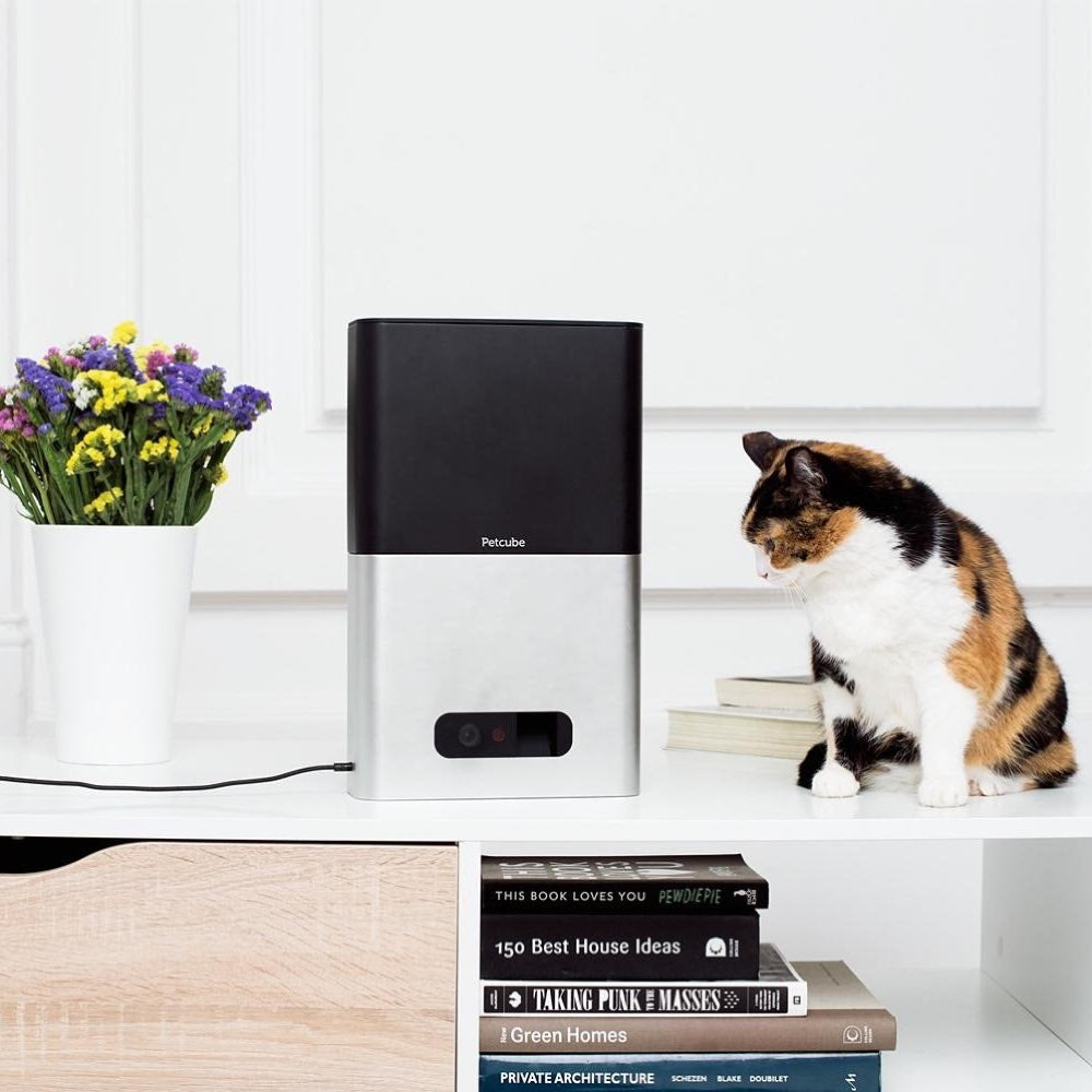 Petcube Bites Interactive Pet Camera & Treat Dispenser - Kohepets