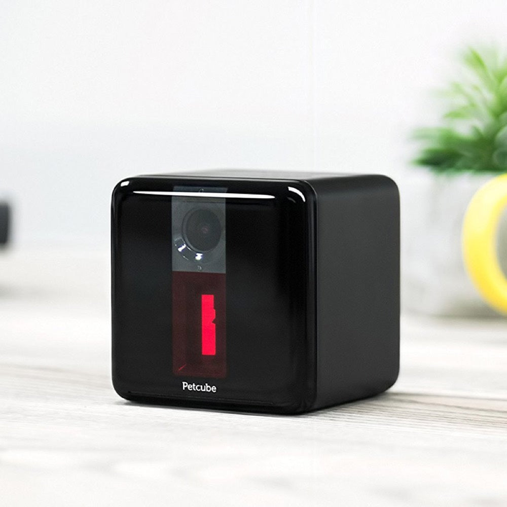 Petcube Play Interactive Pet Camera - Kohepets
