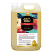 20% OFF 500ML: Petholic Apple Deep Cleaning Treatment Pet Shampoo - Kohepets