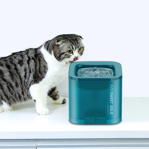 PETKIT Eversweet Solo Drinking Pet Fountain 1.8L (Green) - Kohepets
