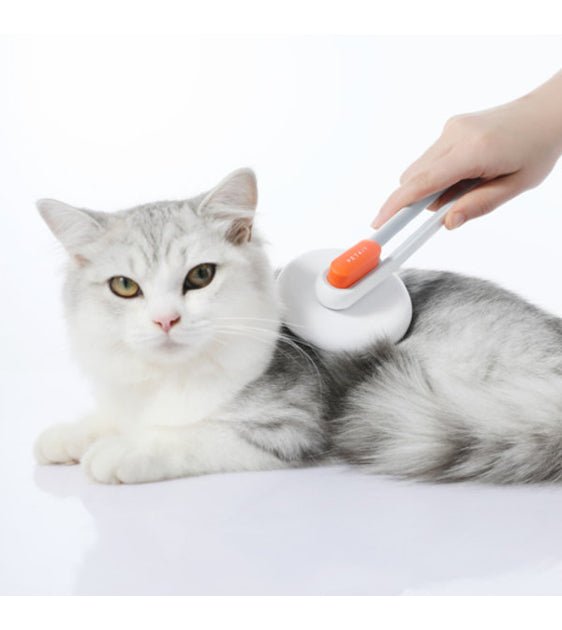 PETKIT Large Grooming Brush