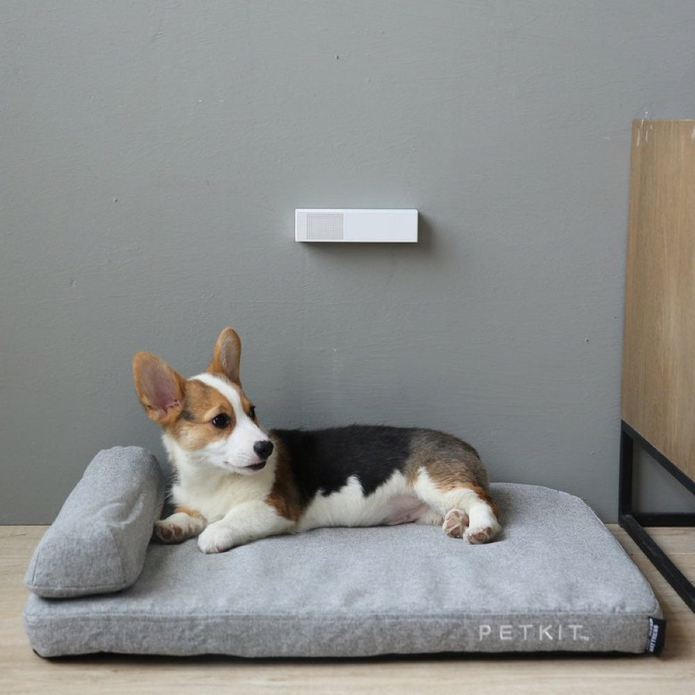 PETKIT PURA AIR Smart Odor Eliminator - Kohepets