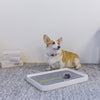 PETKIT PURA DOG Training Pee Tray - Kohepets