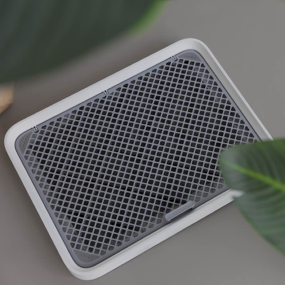 PETKIT PURA DOG Training Pee Tray - Kohepets