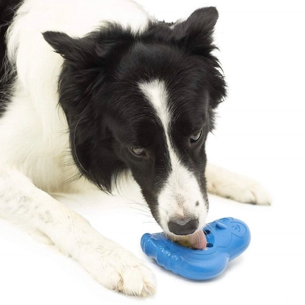 $1 OFF: Petsafe Chilly Penguin Freezable Treat Dispensing Dog Toy - Kohepets