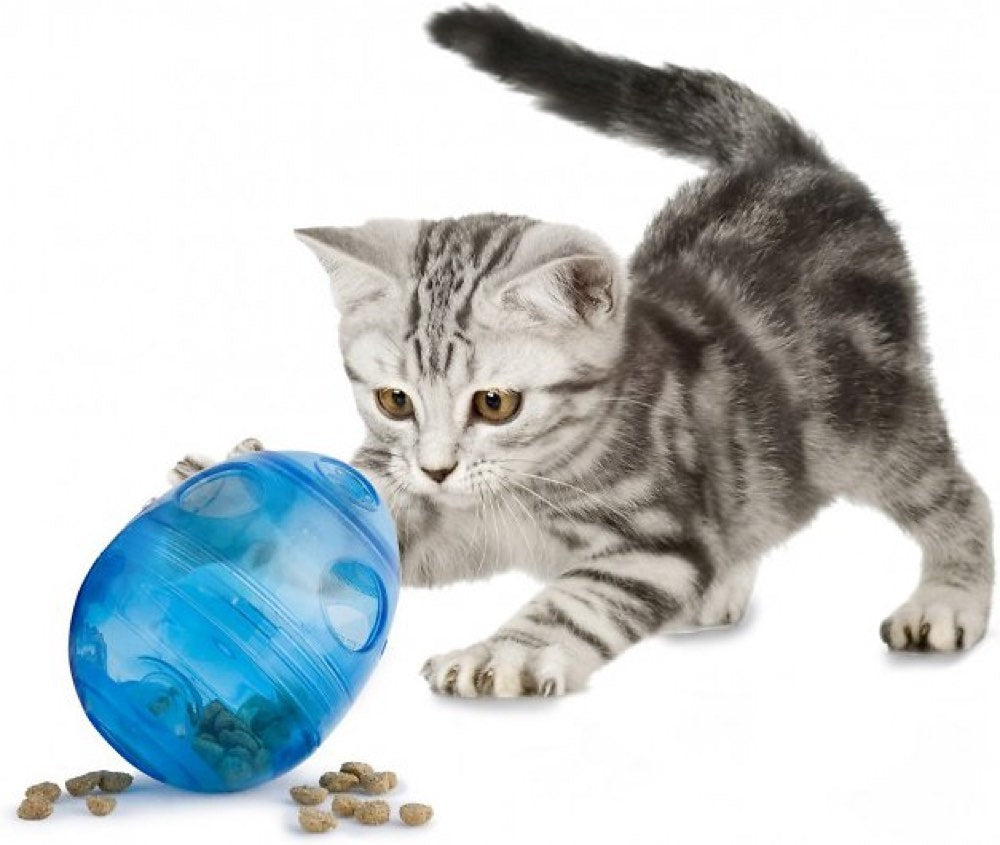 $2 OFF: PetSafe Egg-Cersizer Treat Ball Interactive Cat Toy - Kohepets