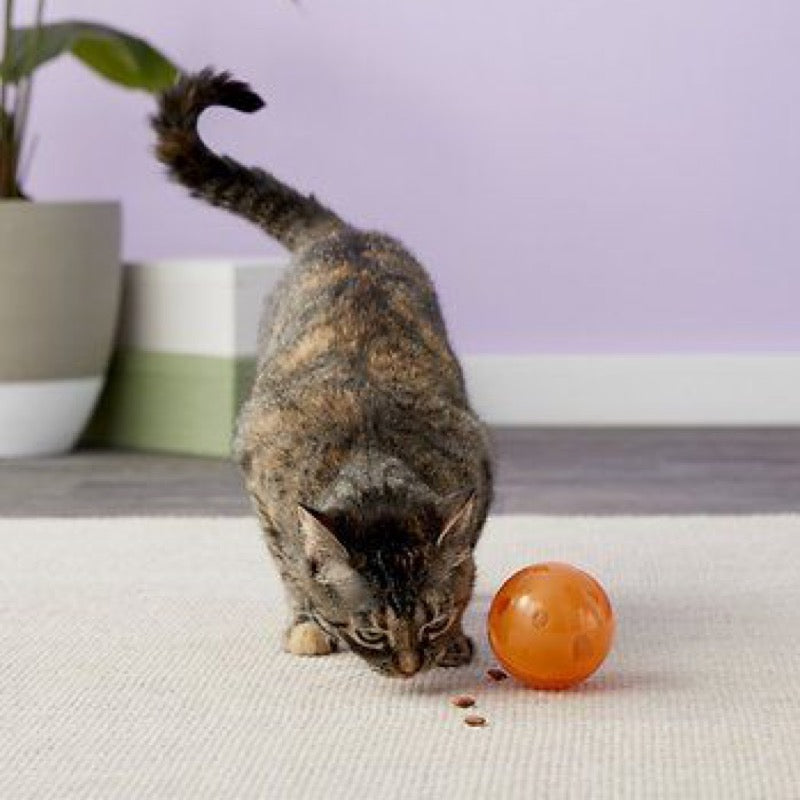 $2 OFF: PetSafe SlimCat Interactive Feeder Ball Toy for Cats - Kohepets