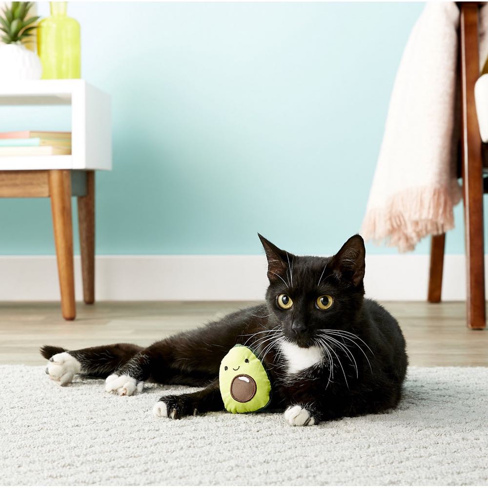 10% OFF: Petstages Lil' Avocato Dental Cat Chew Toy with Catnip - Kohepets