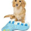 Petz Route Blue Piano Dog Toy - Kohepets