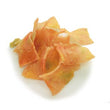 Petz Route Chicken Terrine with Sweet Potato & Vegetables Dog Treat 35g - Kohepets