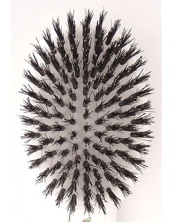 Petz Route Fruit Series Natural Bristle Brush - Kohepets