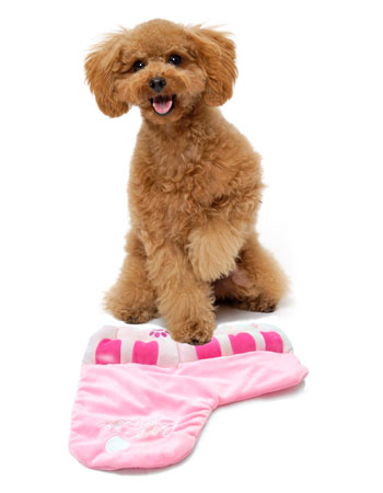 Petz Route Pink Piano Dog Toy - Kohepets