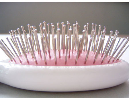 Petz Route Fruit Series Rubber Cushioned Pin Brush Small - Kohepets