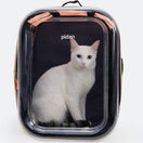 Pidan Pet Backpack Carrier